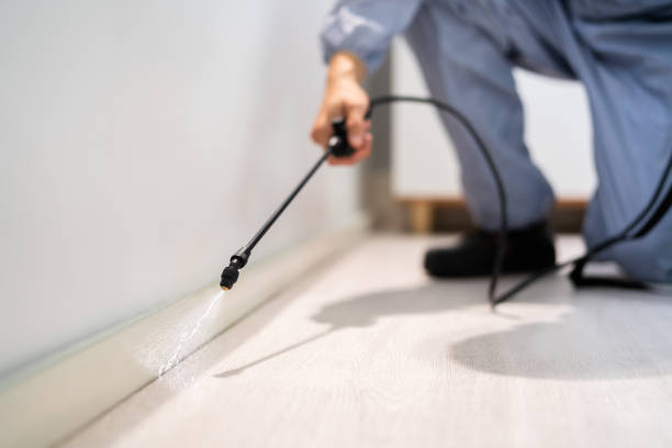 Licensed Termite Control service in Odenton, MD - Nex Pest Control