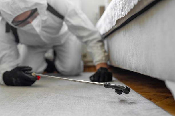 Professional Termite Control technician working in Odenton, MD