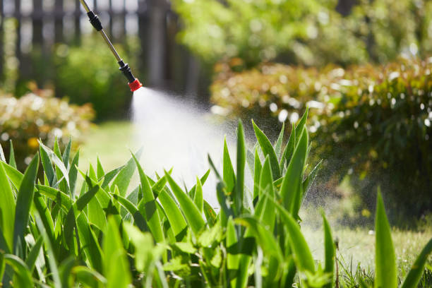 24/7 Emergency Termite Control experts in Odenton, MD