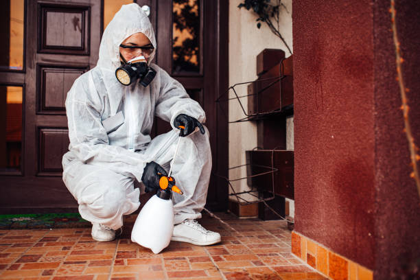 Reliable Termite Control contractor in Odenton, MD by Nex Pest Control